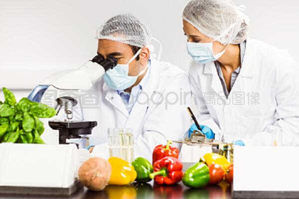 利用显微镜进行研究的食品科学家
